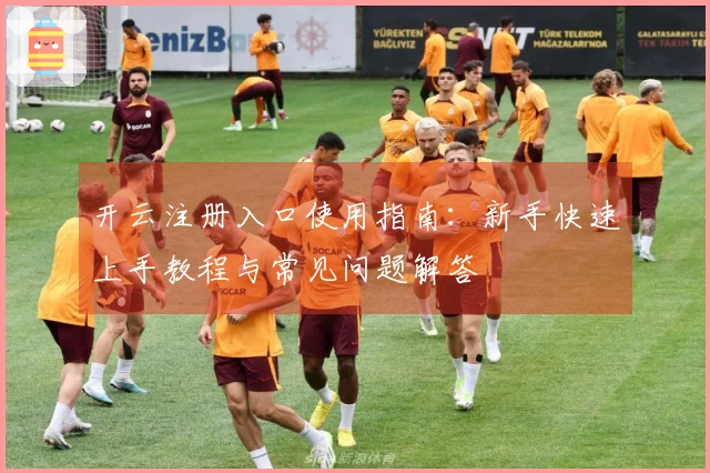 开云注册入口使用指南：新手快速上手教程与常见问题解答
