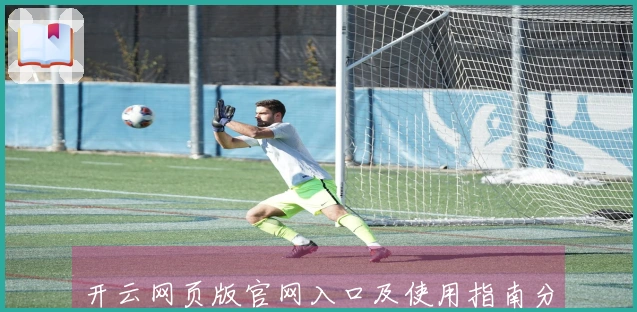 开云网页版官网入口及使用指南分享